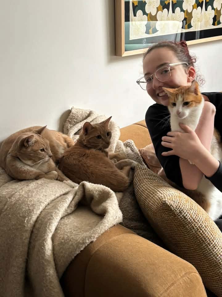 A person with three ginger cats on a couch